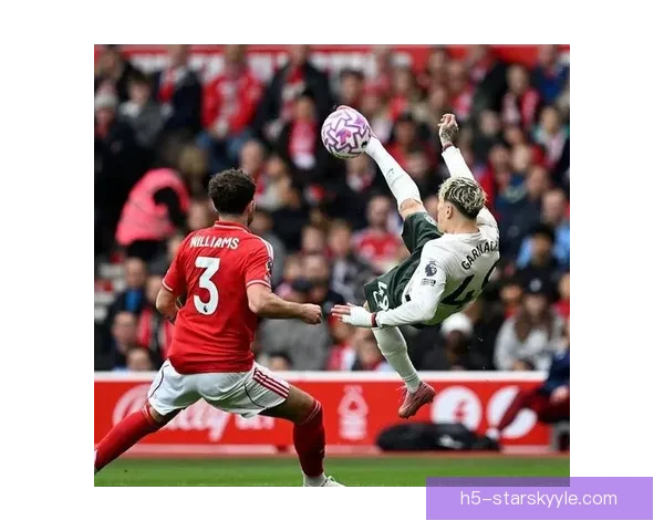 森林三球完胜费内巴切穆里略破门