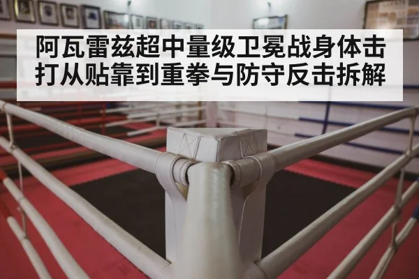 阿瓦雷兹超中量级卫冕战身体击打从贴靠到重拳与防守反击拆解 | Xingkong